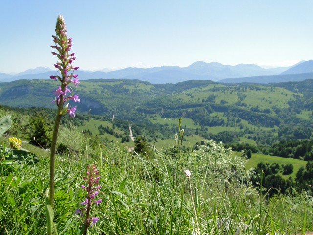 Randonnées pédestres