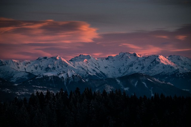 Accompagnateurs en montagne