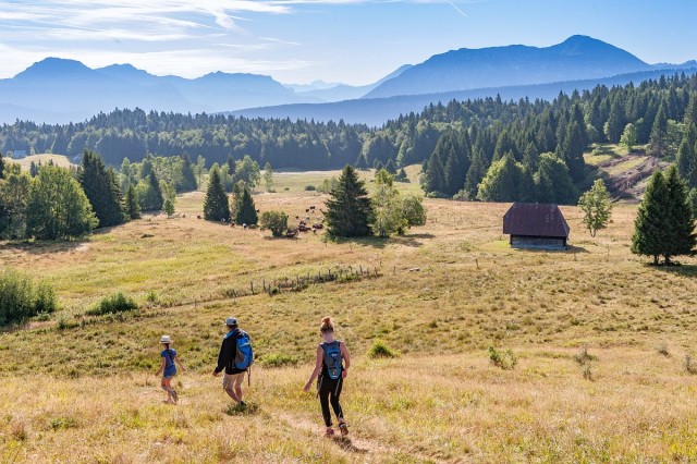 Accompagnateurs en montagne