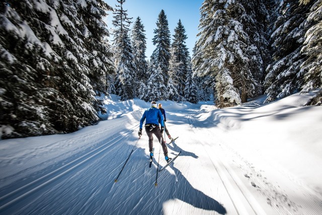 Plan des pistes