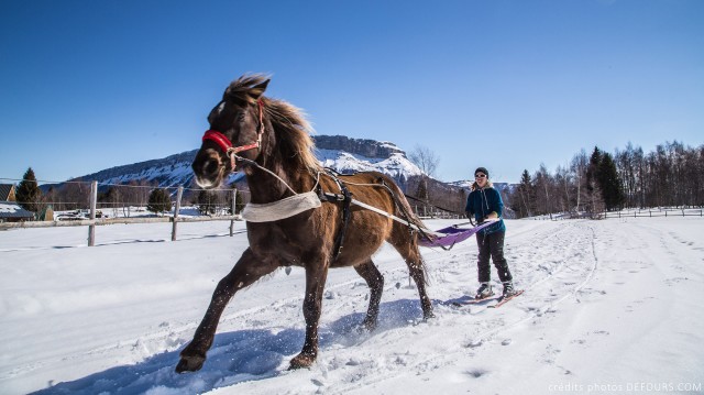 Ski Joering - Savoie Grand Revard