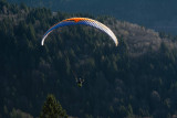 Baptême en Parapente Lac du Bourget