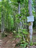 Randonnée au Col de Plainpalais depuis la Féclaz_La Féclaz