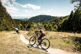 VTT de descente