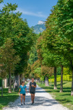 Allée de Trivier