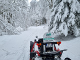 forêt