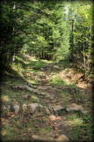 Piste VTT FFC rouge - La Féclaz