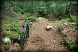 Piste VTT FFC noire 10 - La Féclaz