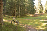 Tapis herbeux