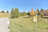 Piste noire
