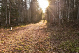 Piste noire