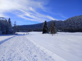 Piste piétonne - Boucle de Glaise_La Féclaz