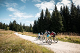 Piste rouge VTC L'Hansen_Le Revard