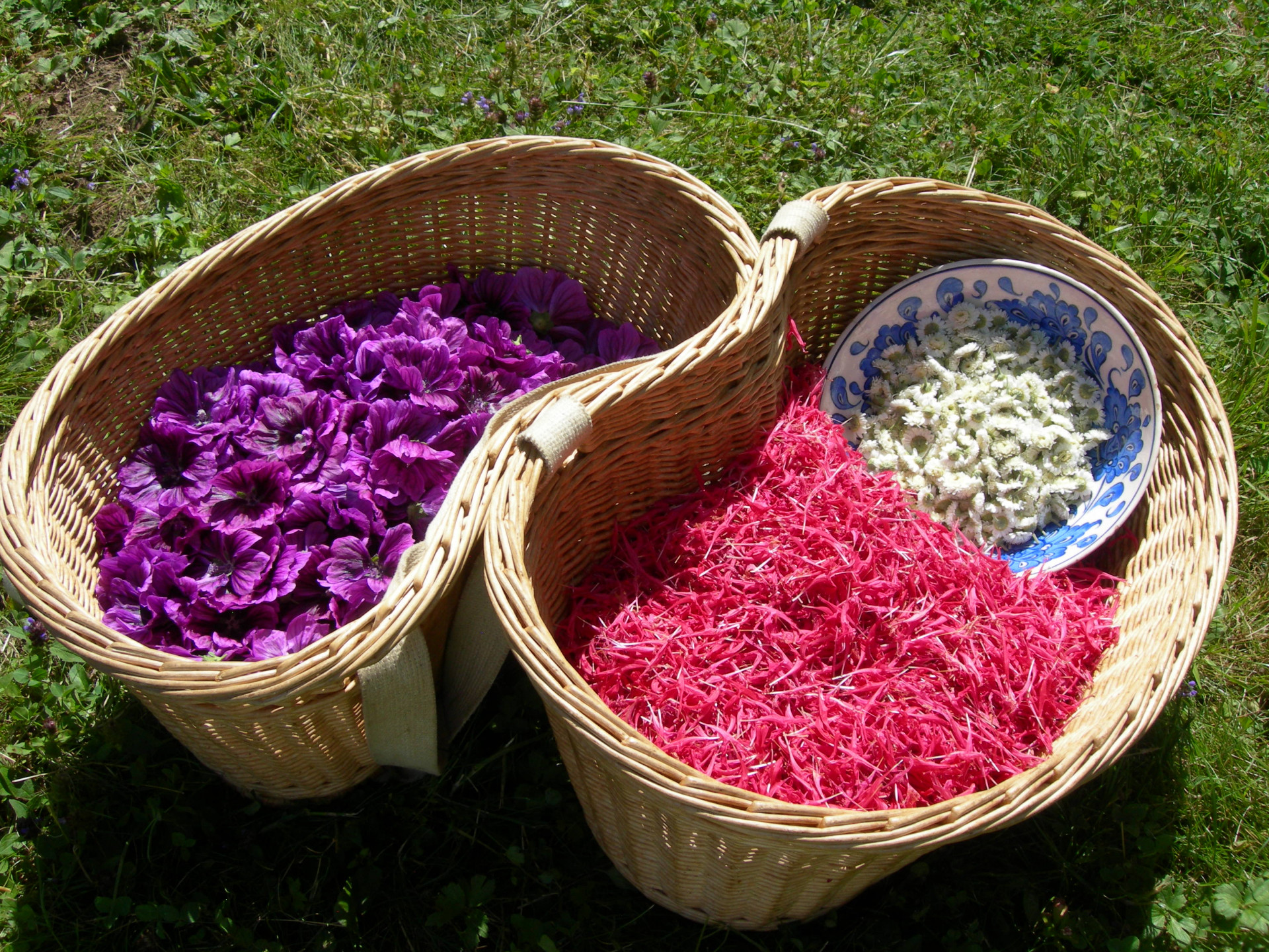 Paniers de fleurs