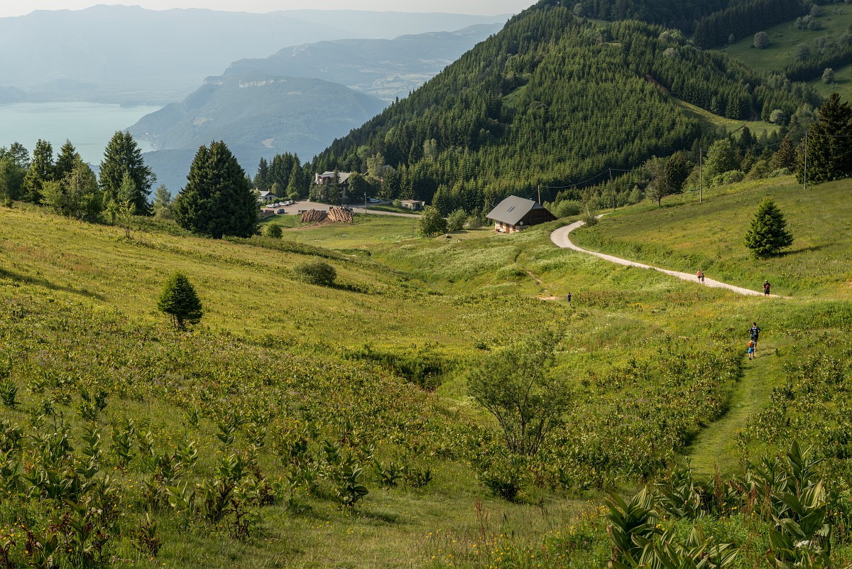 Randonnée à la Croix du Nivolet