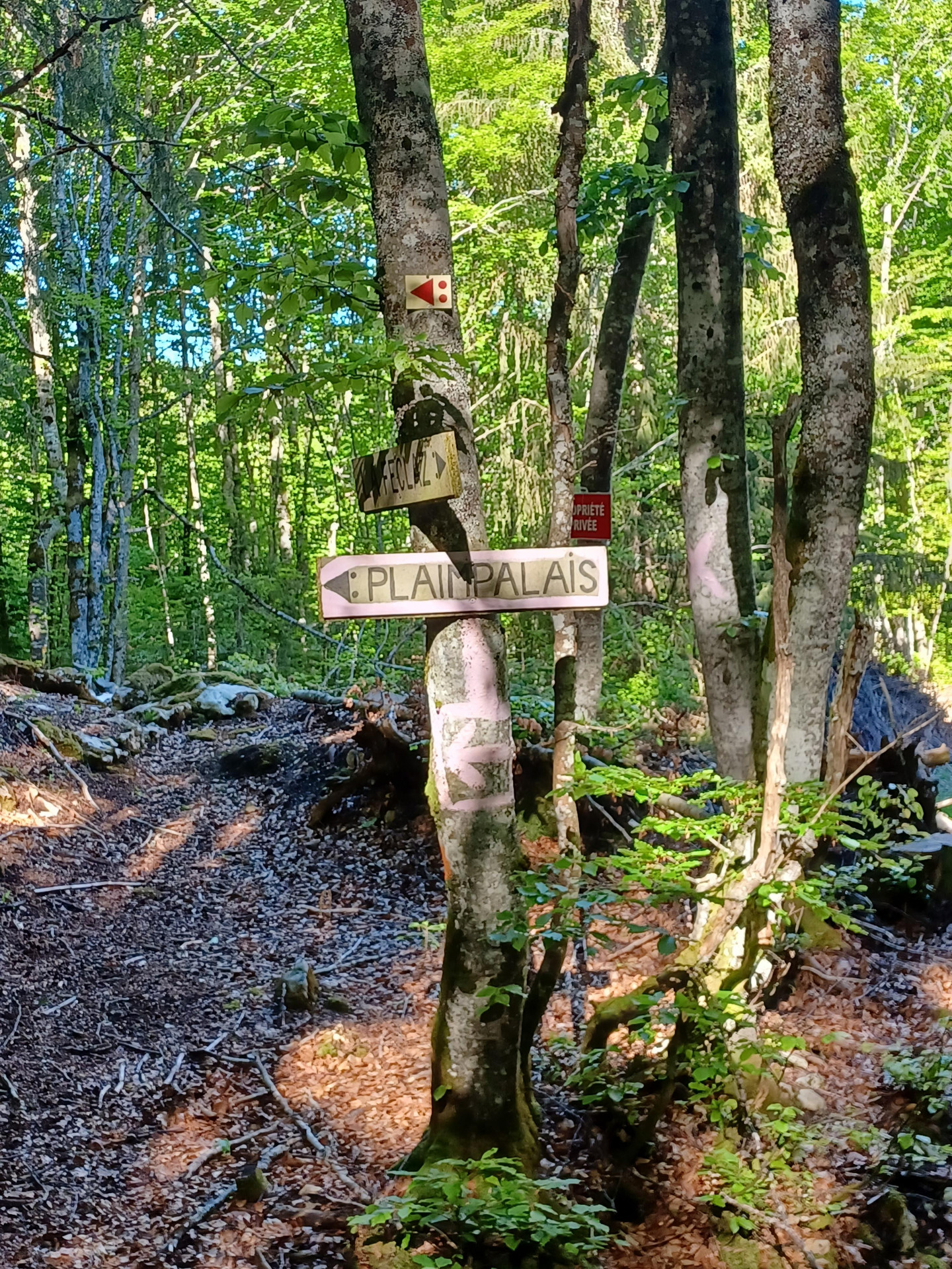 Randonnée au Col de Plainpalais depuis la Féclaz_La Féclaz