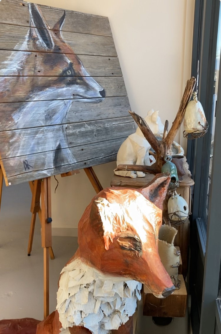 collection renard