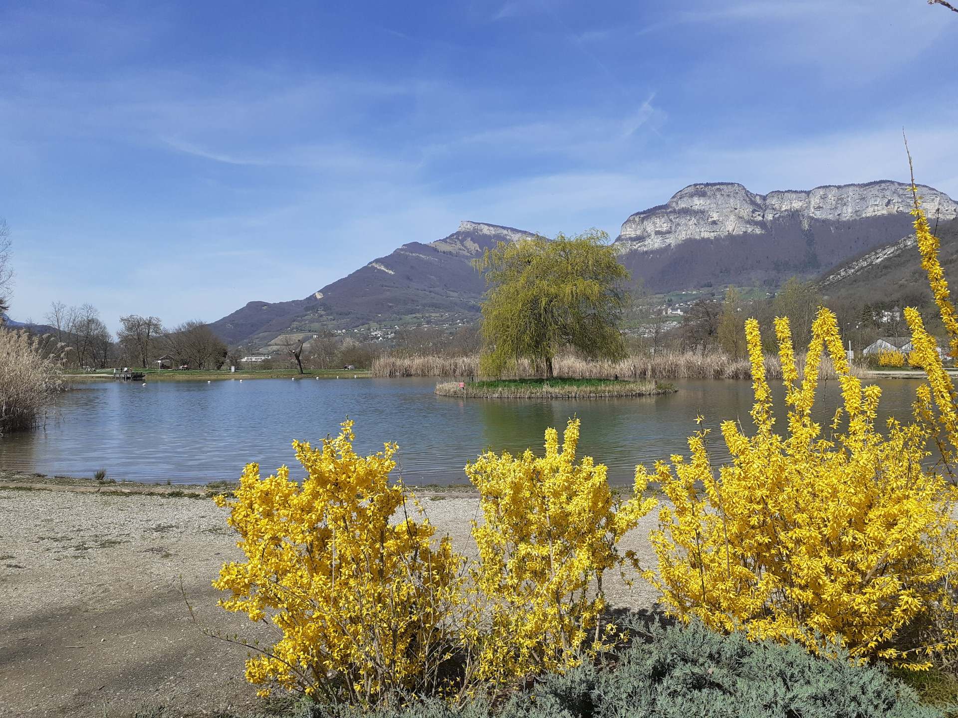 Vue montagnes