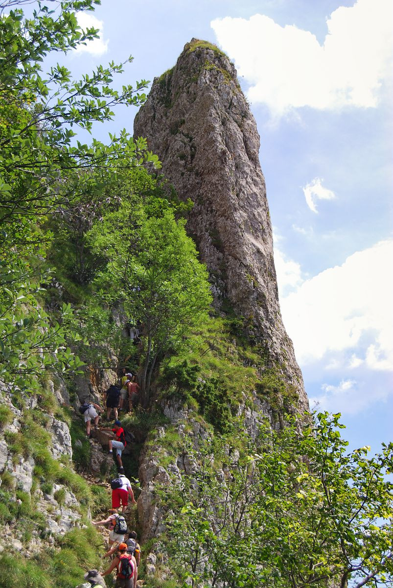 Pas de l'échelle