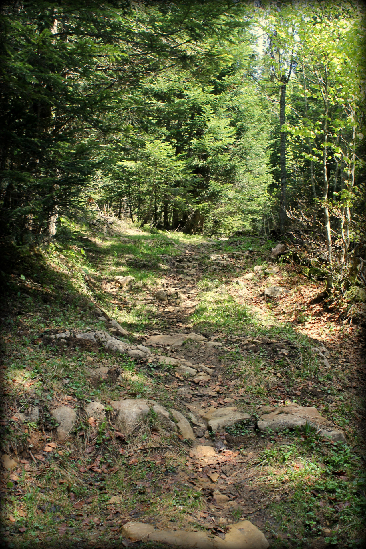 Piste VTT FFC rouge - La Féclaz