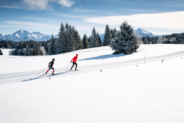 Ski de fond