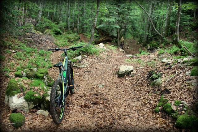 Piste VTT FFC noire 11 - La Féclaz