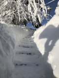 Le chalet de la forêt