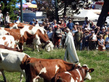 Fête des Alpages du Mont Revard
