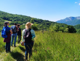 Balade plantes sauvages avec Muriel Lallée