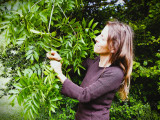 Balade cueillette des plantes sauvages avec Muriel Lallée