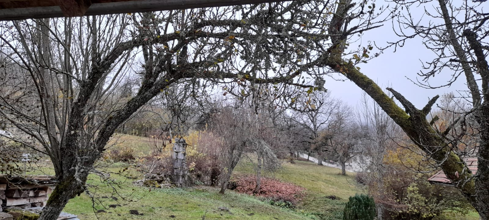 Abri gîte