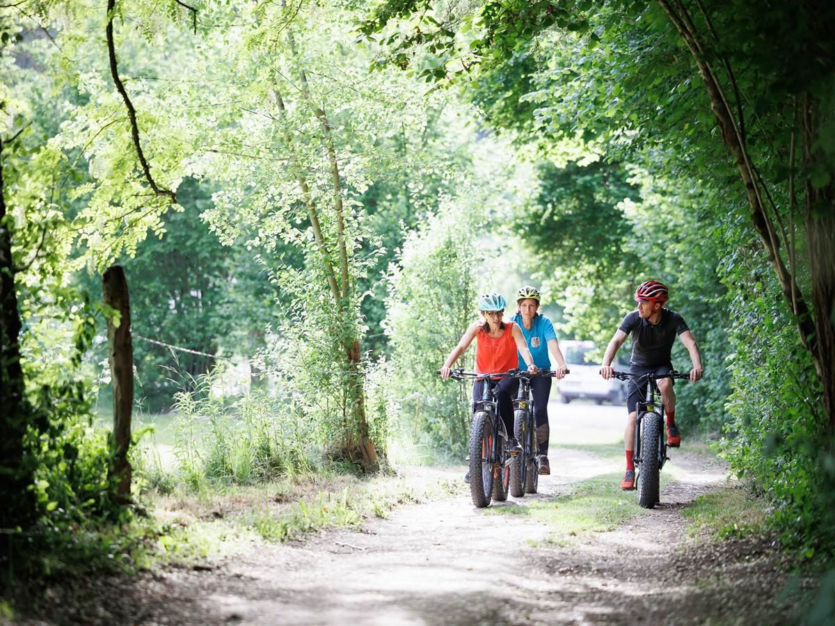 Découverte VTT Fatbike électrique