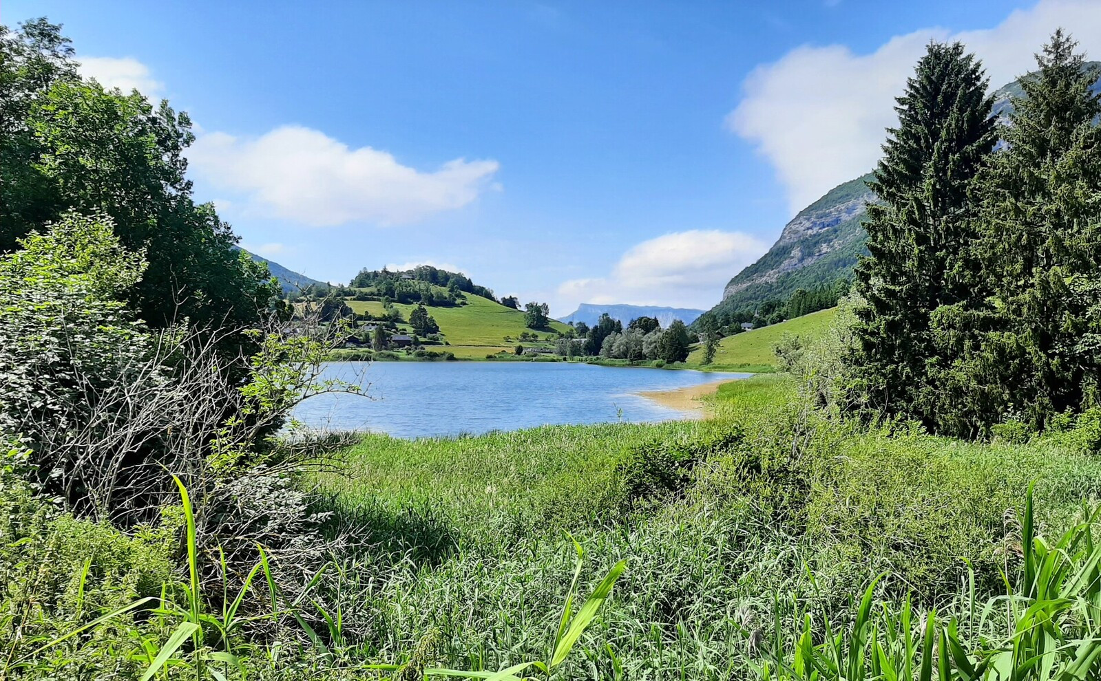 Balade botanique près de Chambéry