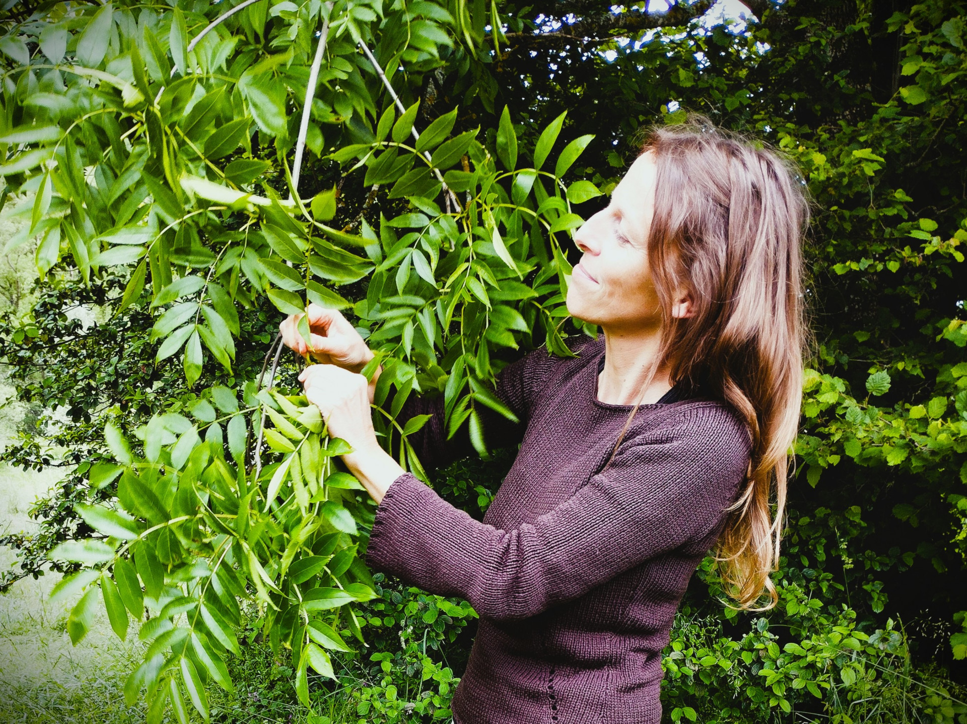 Balade cueillette des plantes sauvages avec Muriel Lallée