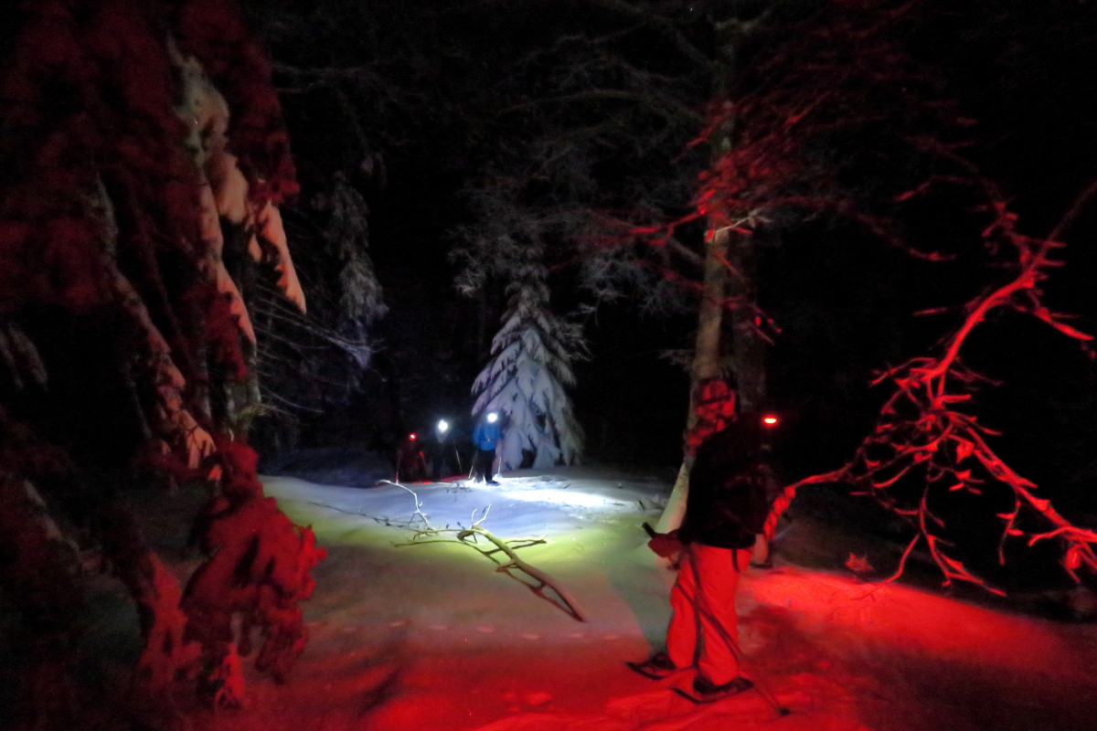 Sortie raquettes nocturne