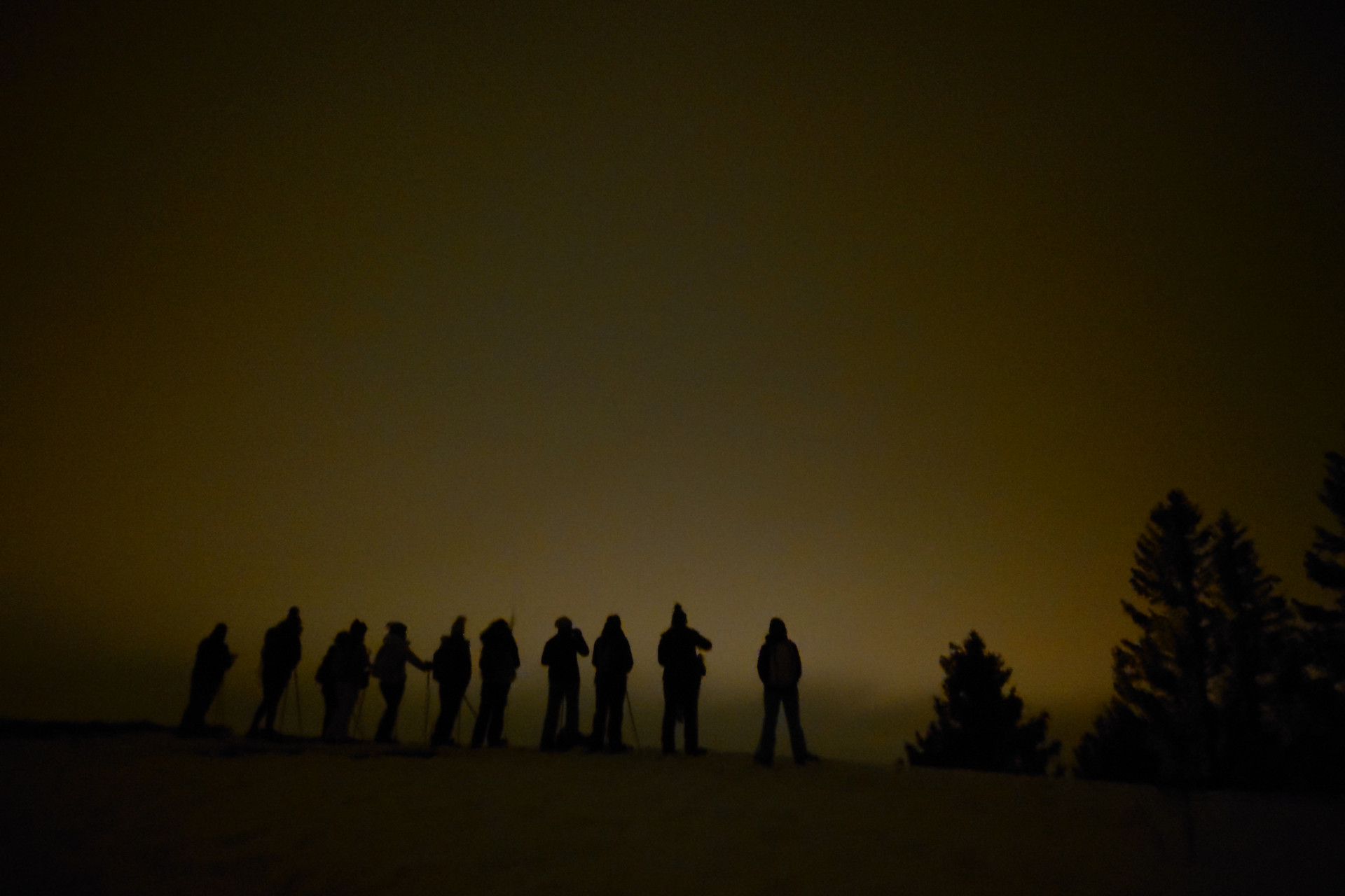 Balades nocturne en raquettes à La Féclaz ou au Revard_La Féclaz