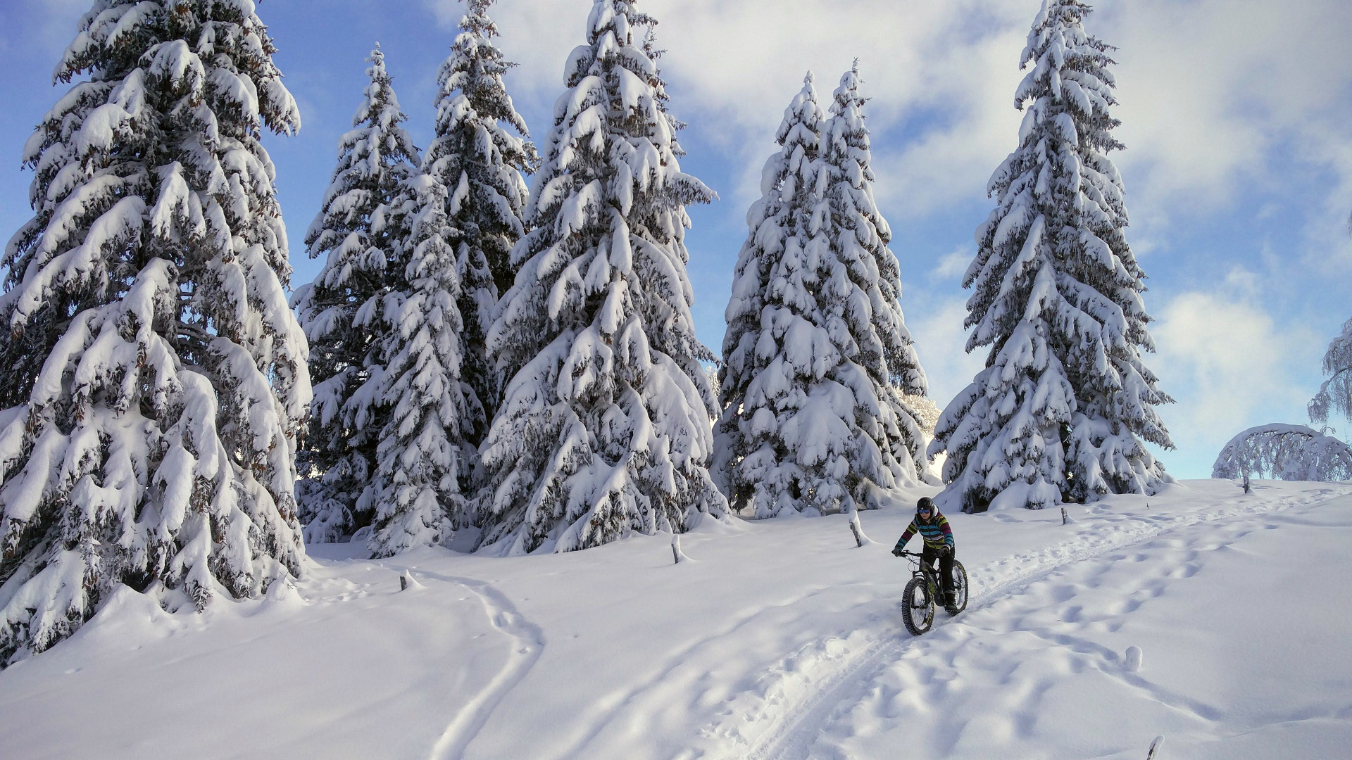 Fatbike Savoie