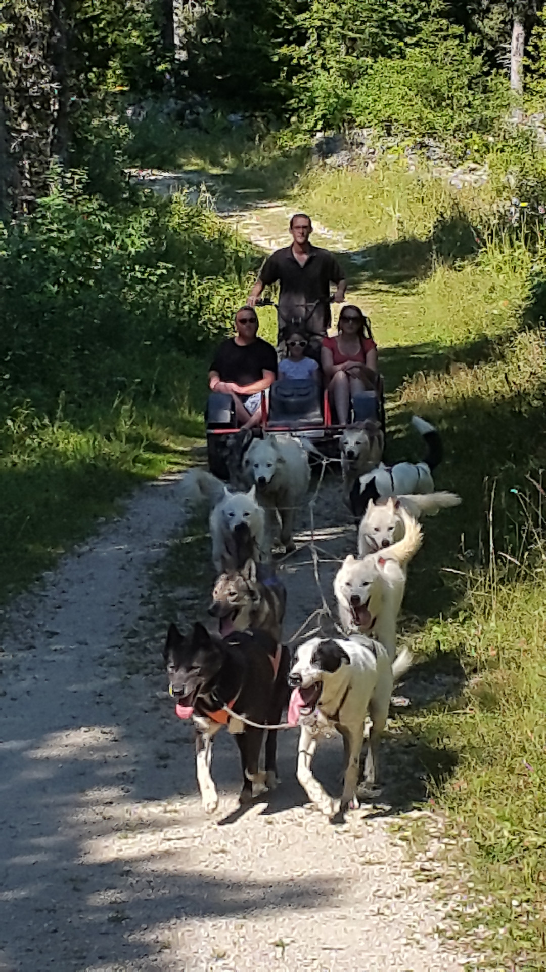 Promenade en kart