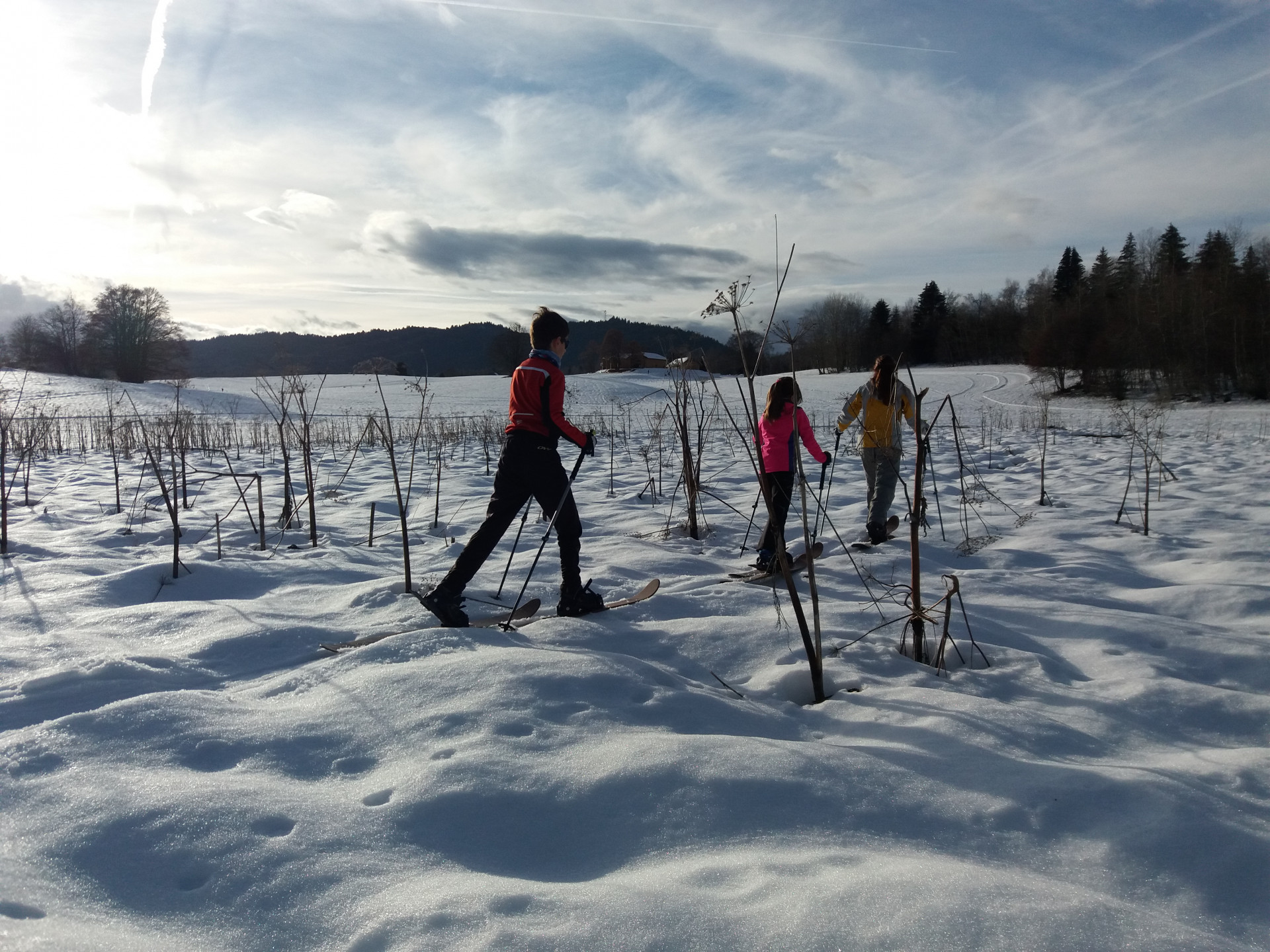 Balade en ski-raquette Altaï