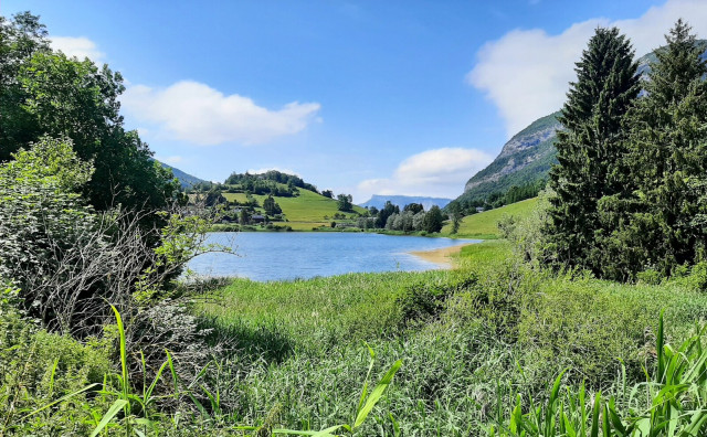 Balade botanique près de Chambéry