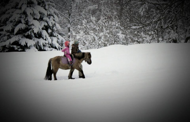 Promenade Poney Hiver
