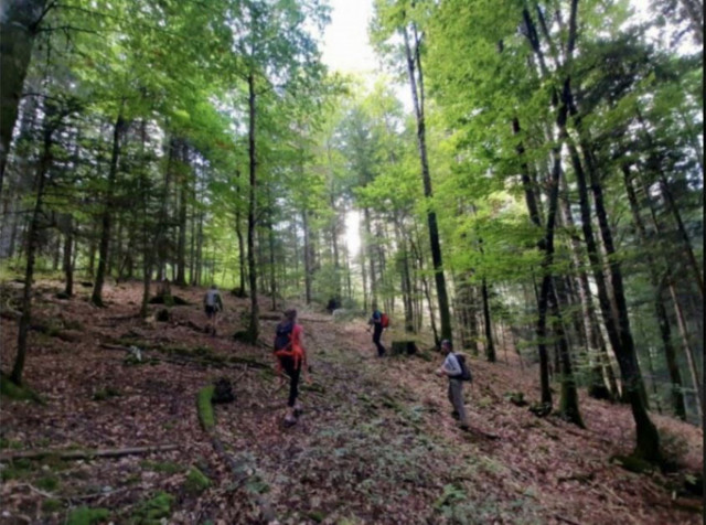 20 ans pour faire pousser l’avenir – Forêt du Groupement des Chavonnes_Le Noyer
